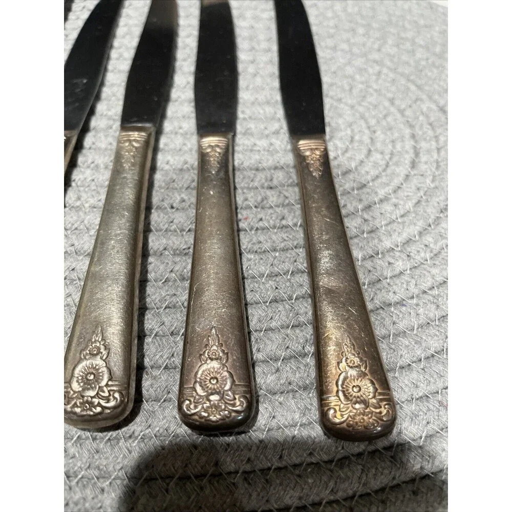 Wm Rogers  5 pc Knife Set Silverplate Vintage Spring Charm Flatware Patina